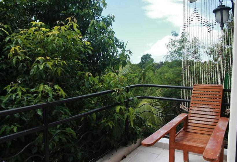 تختخواب و صبحانه Vidas Mountain Stay Bohol