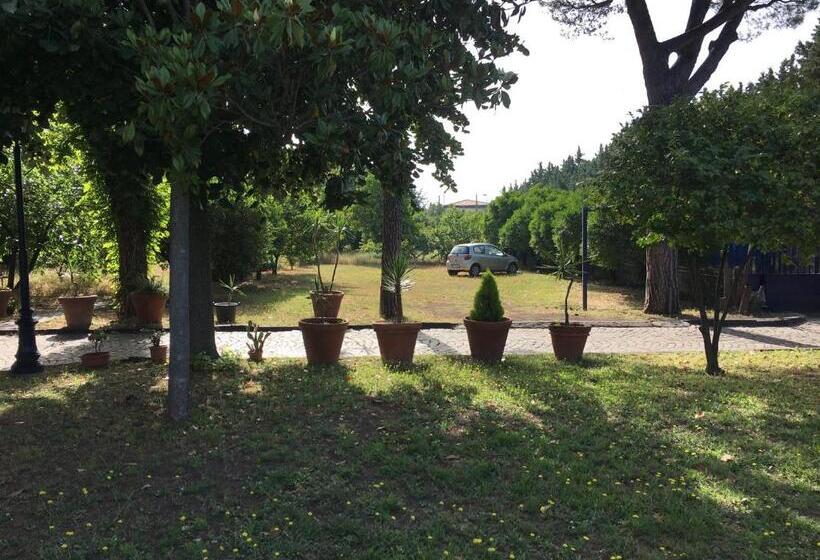 צימר Villa Viuli