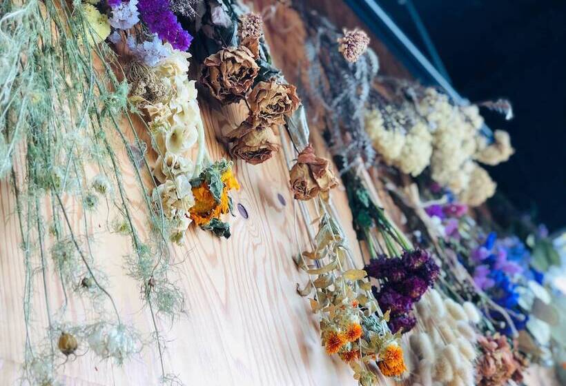 Hostel&gallerygisgood