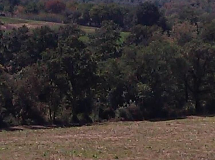 בית מלון כפרי Relais La Roccaccia Universita  Agraria