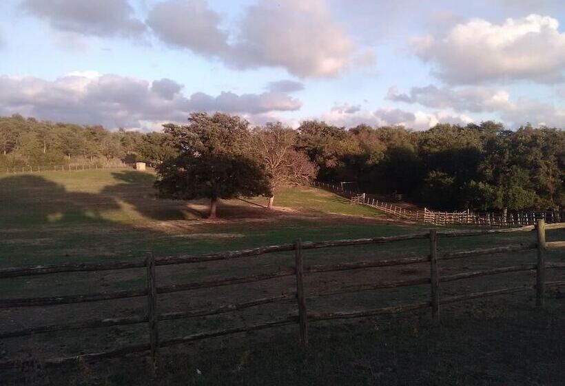 בית מלון כפרי Relais La Roccaccia Universita  Agraria