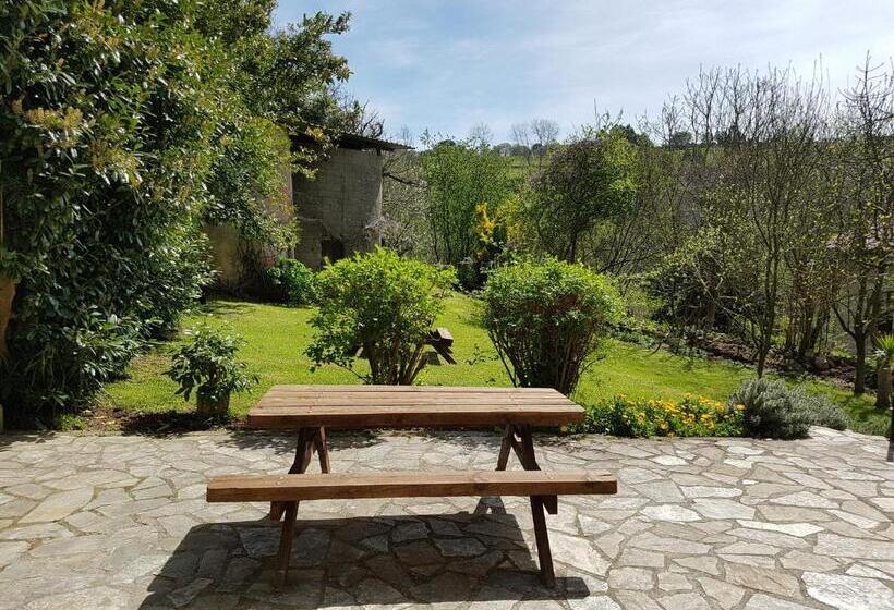 בית מלון כפרי El Pedroso