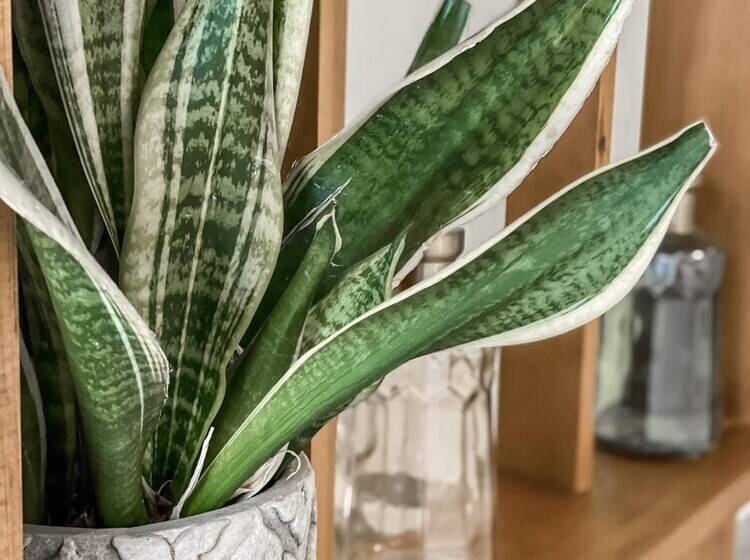 Hotel Hypnos Boutique