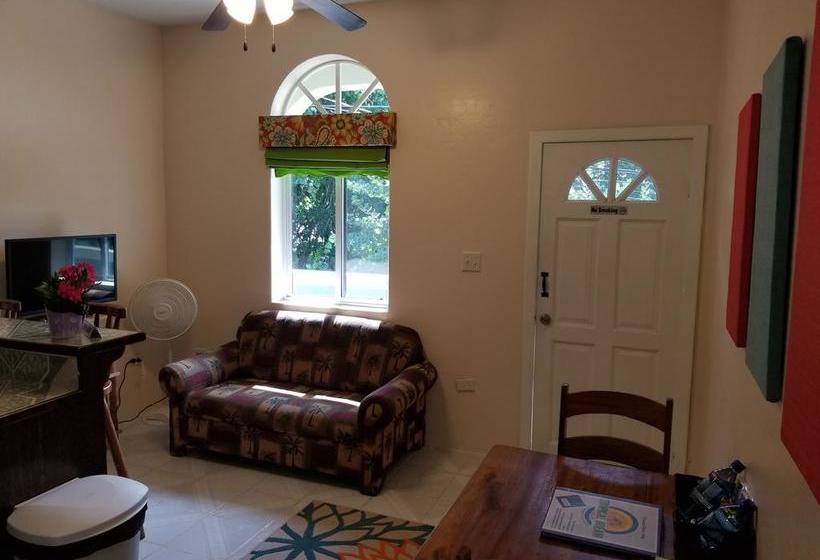 호텔 Belize Tropical Dream Villas