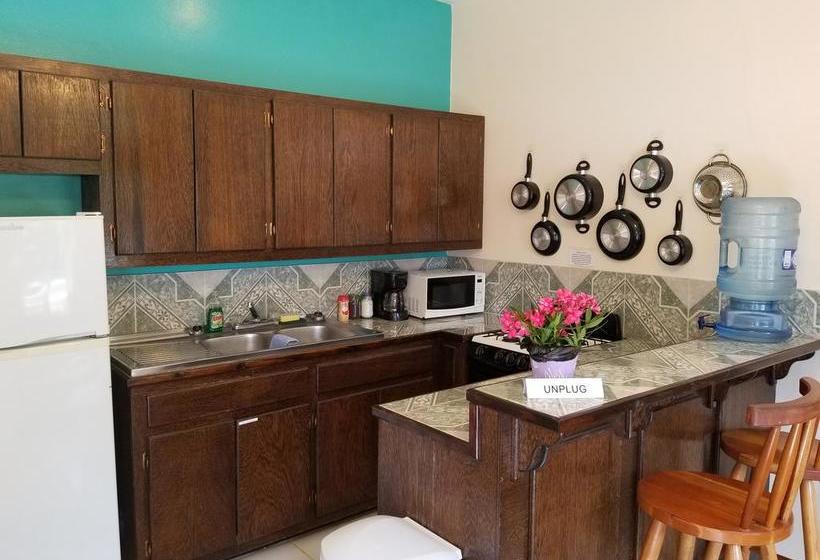 호텔 Belize Tropical Dream Villas