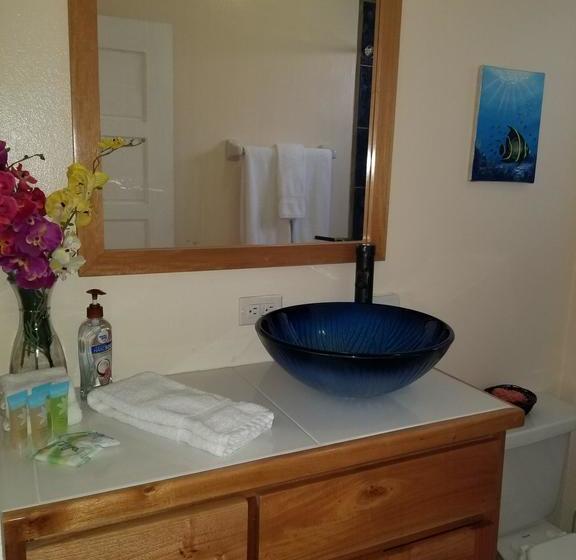 호텔 Belize Tropical Dream Villas