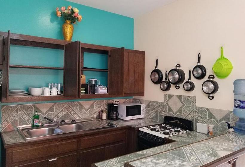 호텔 Belize Tropical Dream Villas