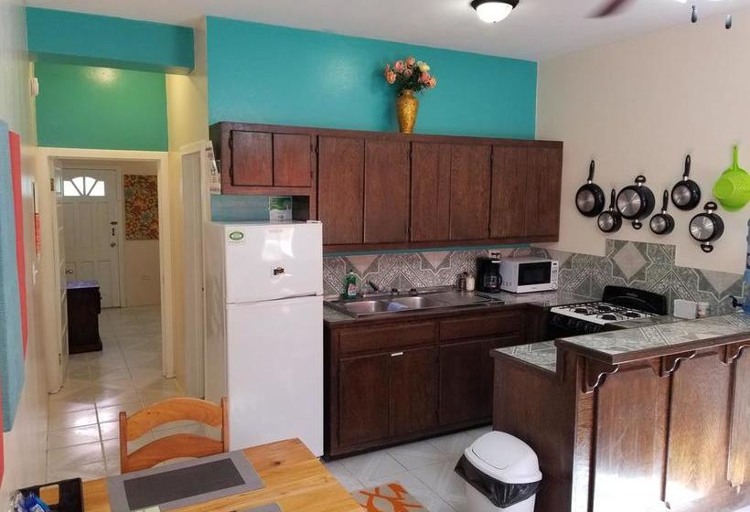 호텔 Belize Tropical Dream Villas