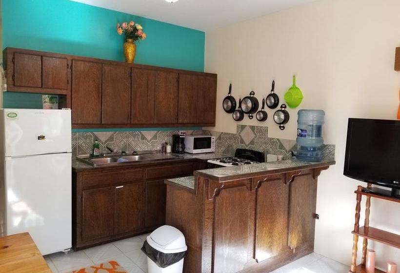 호텔 Belize Tropical Dream Villas