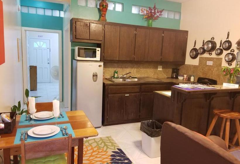 호텔 Belize Tropical Dream Villas