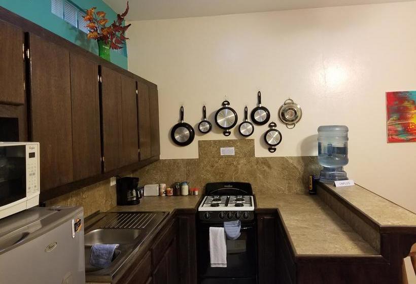 호텔 Belize Tropical Dream Villas