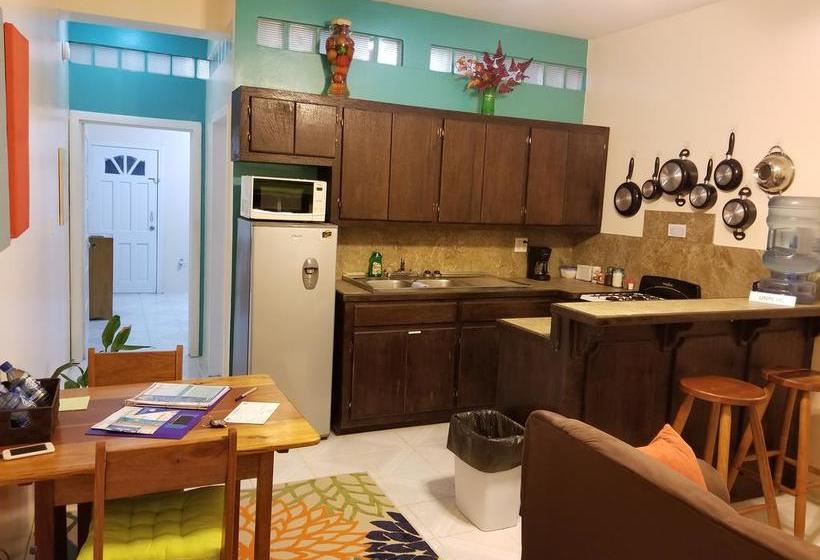 호텔 Belize Tropical Dream Villas