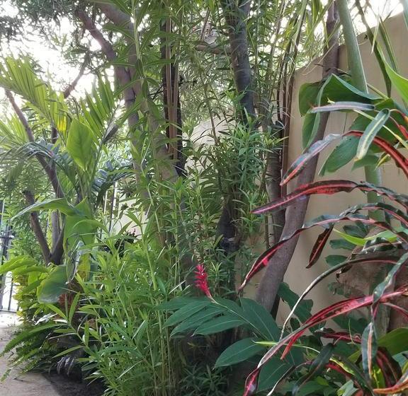 호텔 Belize Tropical Dream Villas