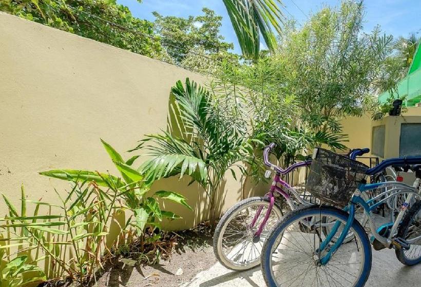 호텔 Belize Tropical Dream Villas