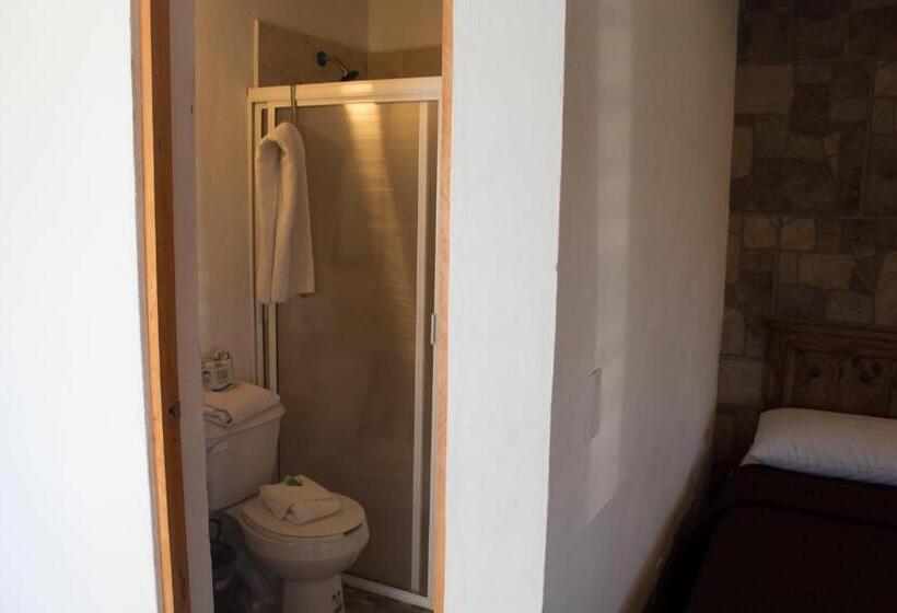 ホテル Venados Inn