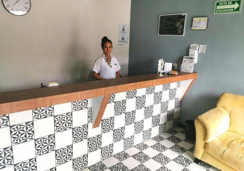 ホテル Venados Inn