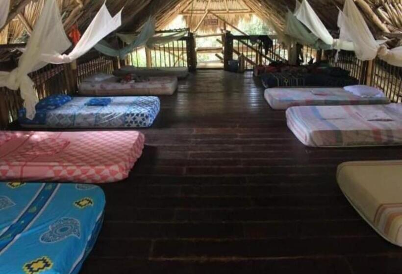 La Natura Hostel & Pool