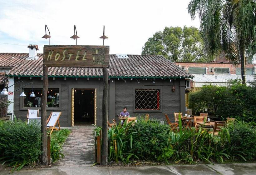 Pura Vida Mae Hostel