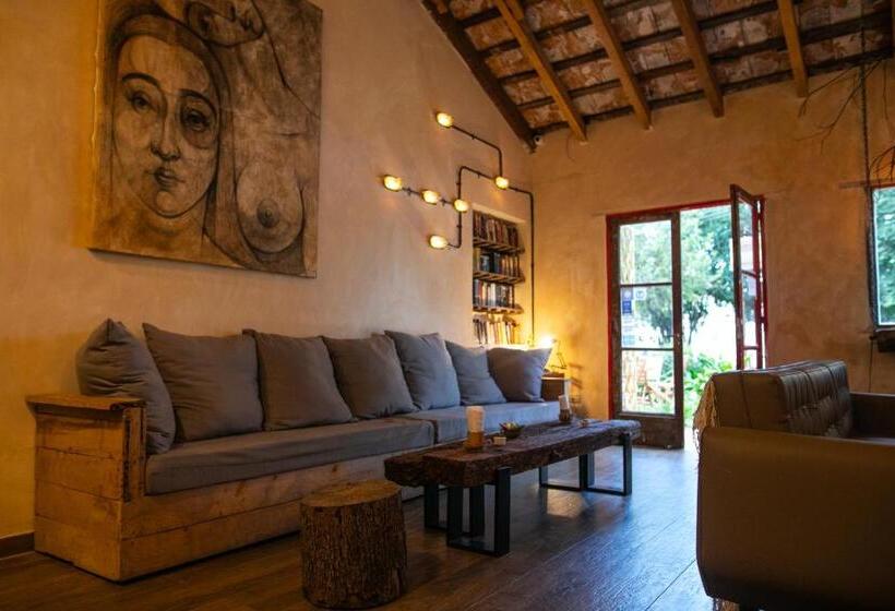Pura Vida Mae Hostel