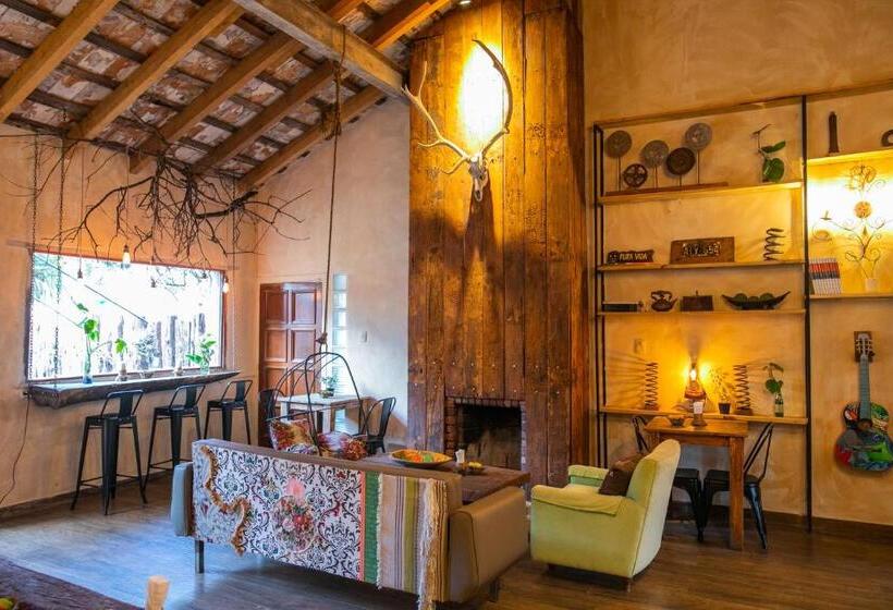 Pura Vida Mae Hostel