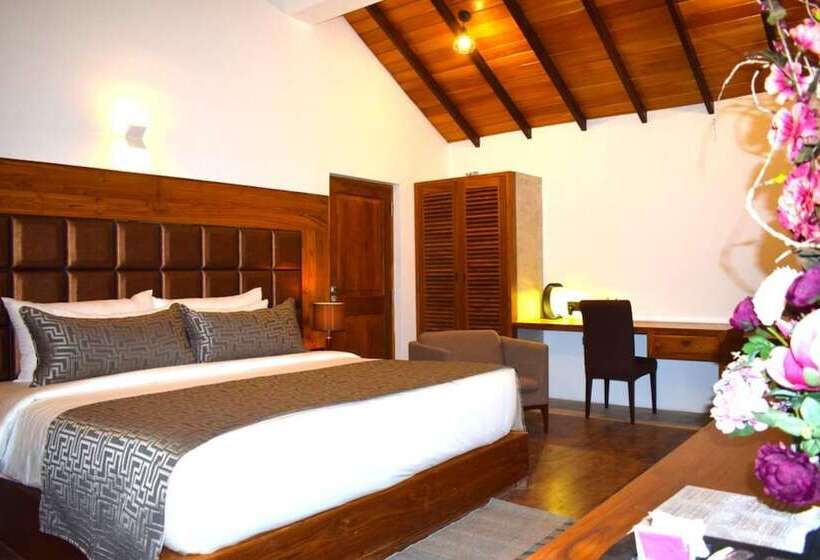 Курорт Margosa Bay