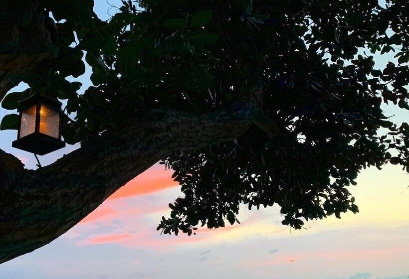 리조트 Pulau Weh Paradise