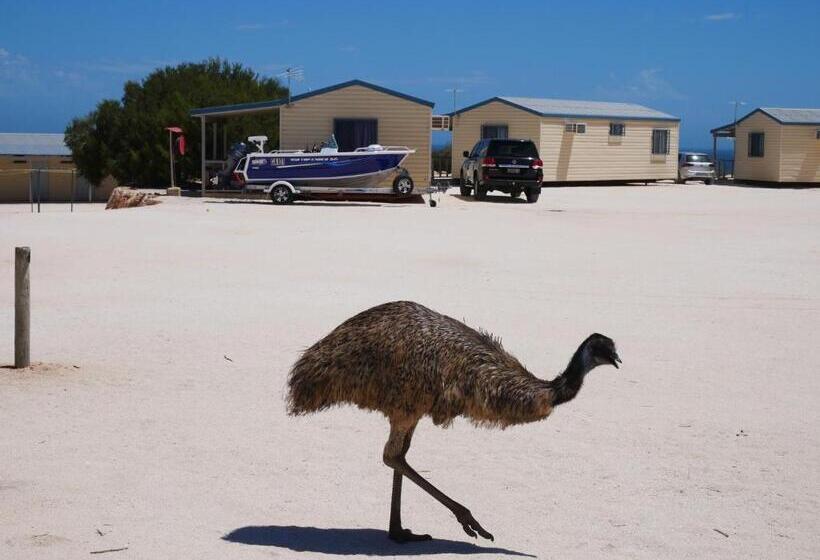 استراحتگاه Tasman Holiday Parks   Denham Seaside