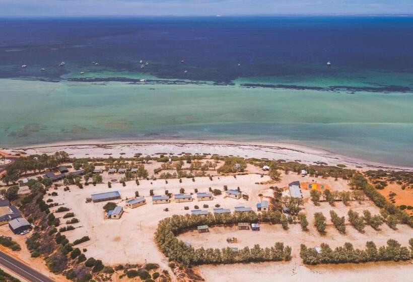 استراحتگاه Tasman Holiday Parks   Denham Seaside