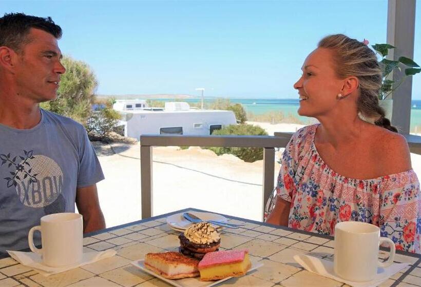 استراحتگاه Tasman Holiday Parks   Denham Seaside