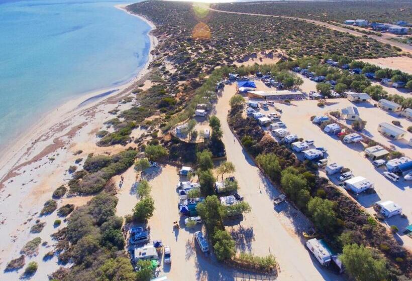 استراحتگاه Tasman Holiday Parks   Denham Seaside