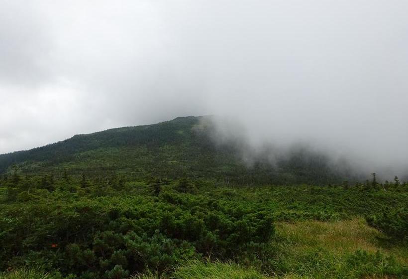 日式旅馆 Nishiya