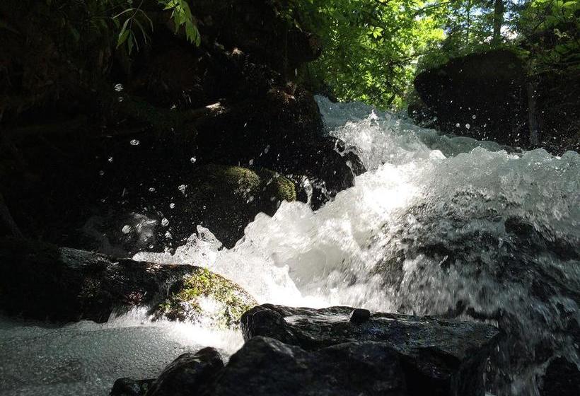 日式旅馆 Nishiya