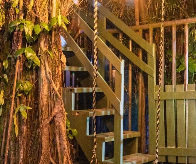 Twin Fin Hostels