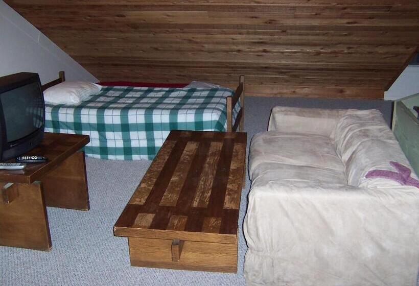 هتل Okemo Mountain Lodging