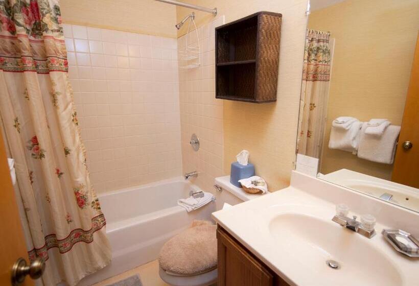 هتل Okemo Mountain Lodging