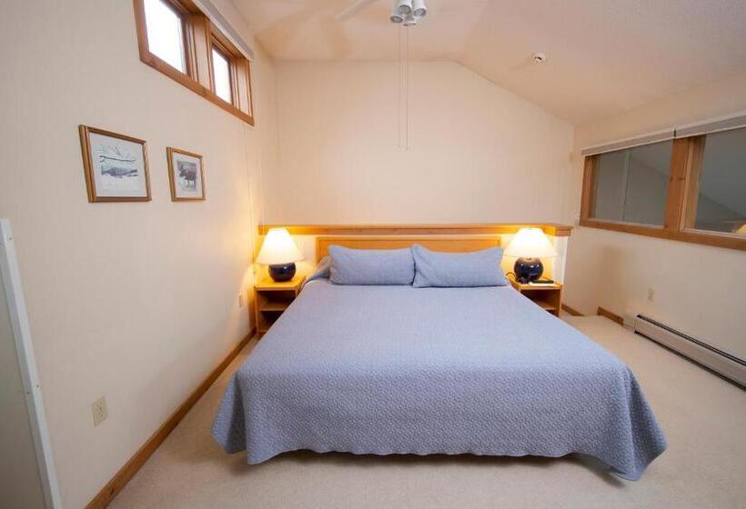 هتل Okemo Mountain Lodging