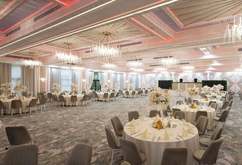 Отель Chitulescu