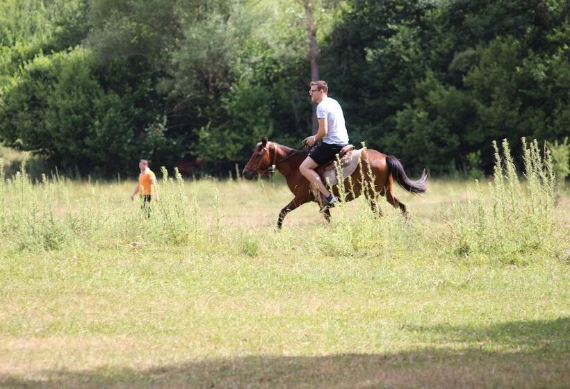 בית מלון כפרי Farma Sotira