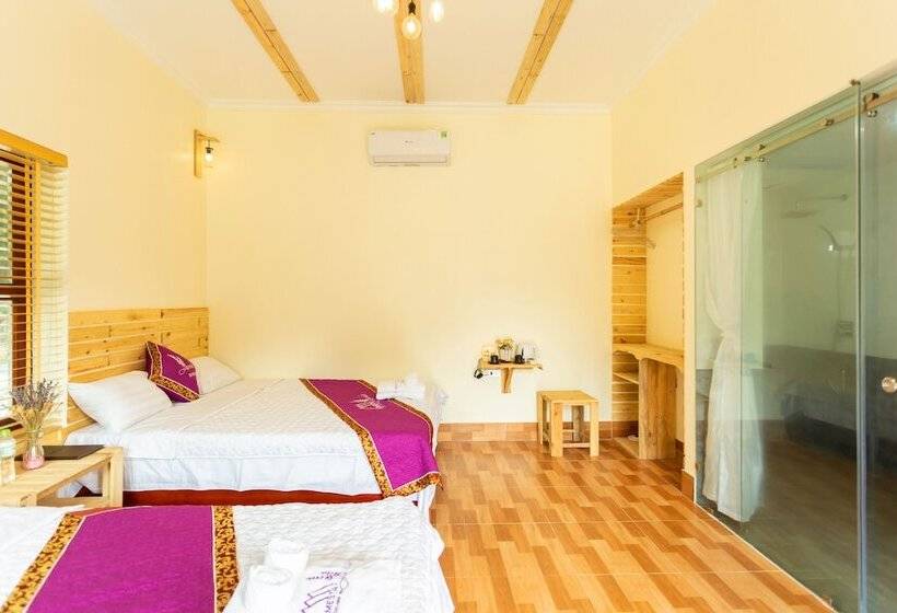 هتل Tam Coc Lavender Homestay