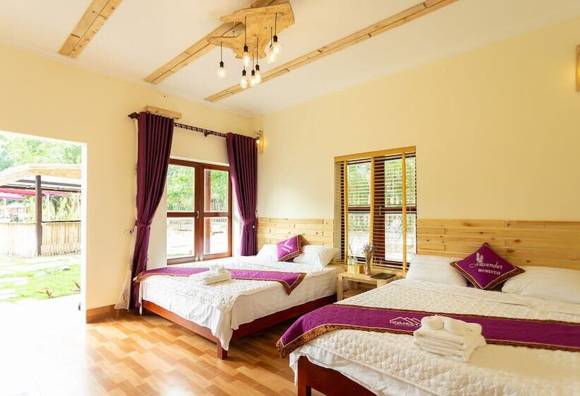 هتل Tam Coc Lavender Homestay