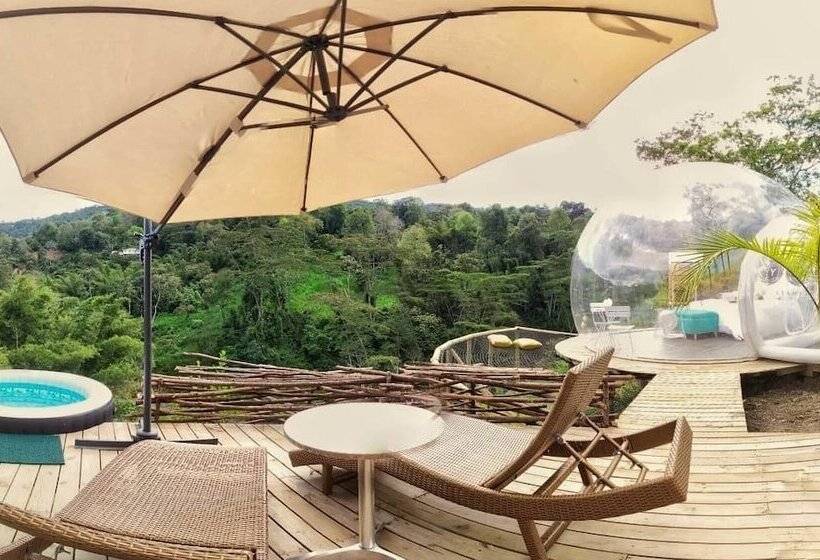 בית מלון כפרי Yuva Glamping