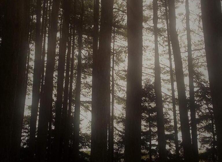 호텔 Vytina Mountain View