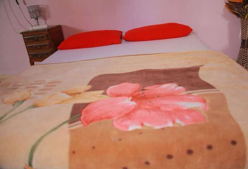 Medina Guesthouse   Hostel
