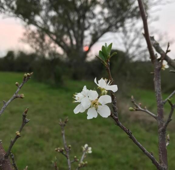 تختخواب و صبحانه Chacra La Recompensa Glamtainer