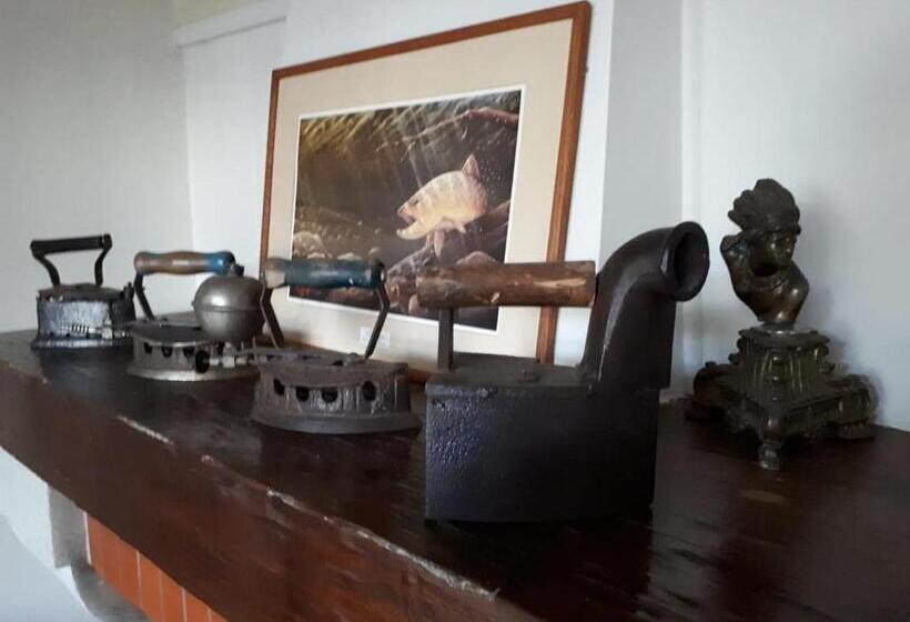 Bed and Breakfast Hostal Mackay Temuco