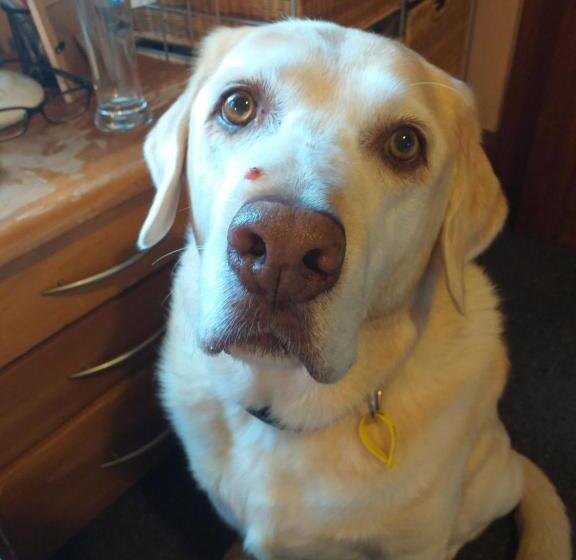 Bed and Breakfast Ruan Thai Bed And Coffee