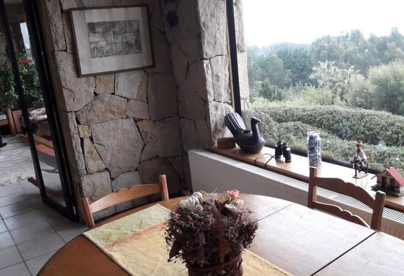 B&b Santo Domingo Chile Bed And Breakfast English Spoken Gran Departamento Compartido Desayuno Inclu