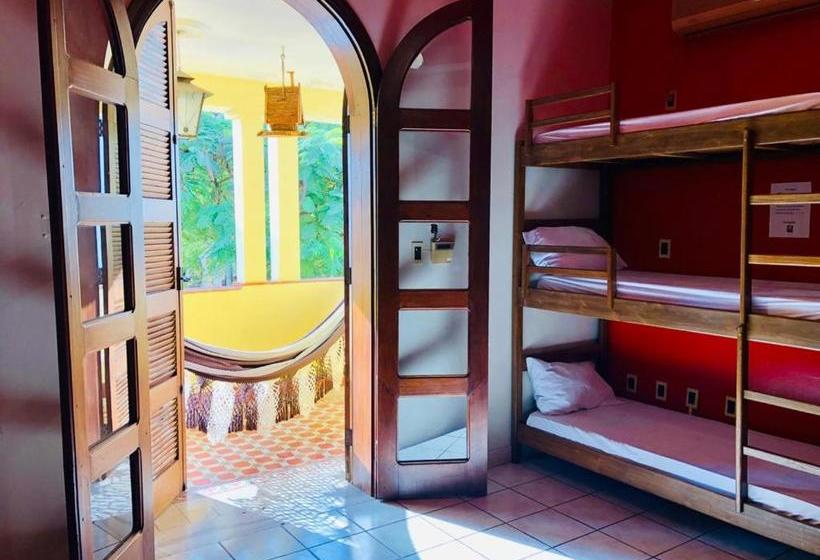 Dom Alberto Hostel