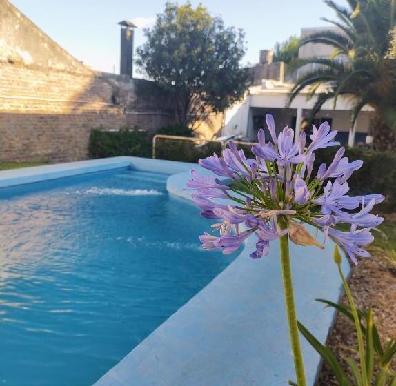 El Bicho Negro Hostel