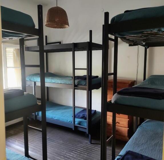 El Bicho Negro Hostel